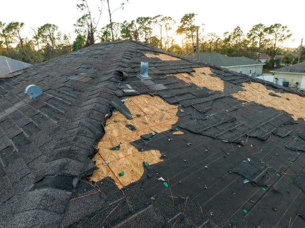 Best Roof Moss and Algae Removal  in New Albany, OH